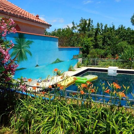 2 Chambres Et Salle De Bain Un Oasis De Bien Etre Piscine Et Jardin Direct Gare Aeroport Toulouse Kültér fotó