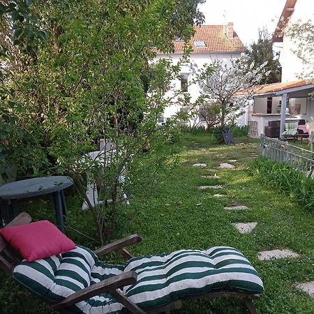 2 Chambres Et Salle De Bain Un Oasis De Bien Etre Piscine Et Jardin Direct Gare Aeroport Toulouse Kültér fotó
