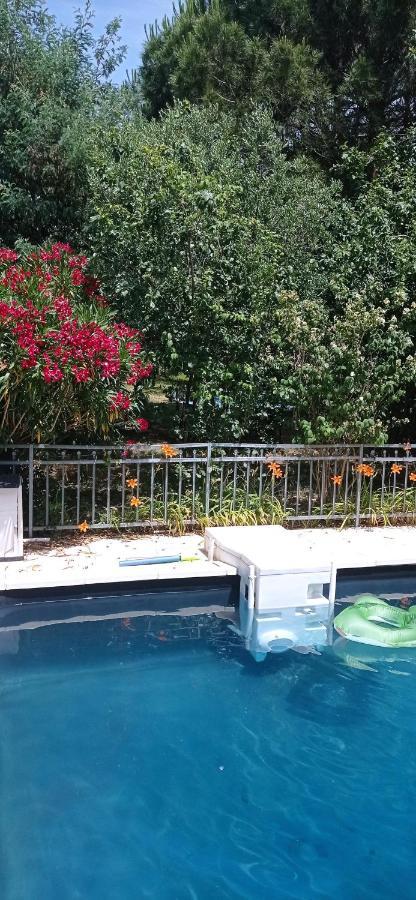 2 Chambres Et Salle De Bain Un Oasis De Bien Etre Piscine Et Jardin Direct Gare Aeroport Toulouse Kültér fotó