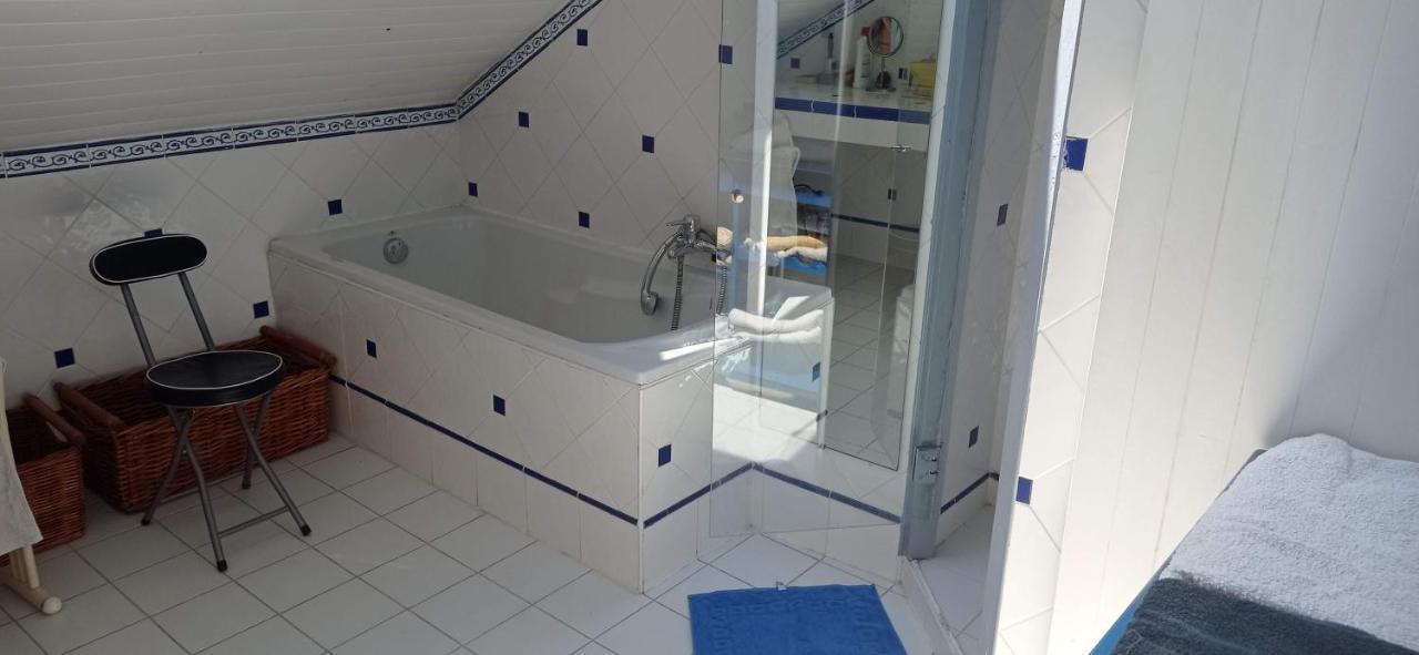 2 Chambres Et Salle De Bain Un Oasis De Bien Etre Piscine Et Jardin Direct Gare Aeroport Toulouse Kültér fotó