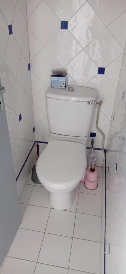 2 Chambres Et Salle De Bain Un Oasis De Bien Etre Piscine Et Jardin Direct Gare Aeroport Toulouse Kültér fotó