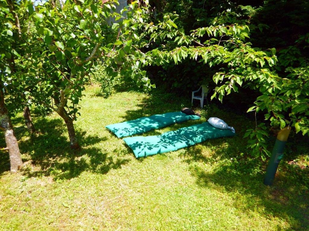 2 Chambres Et Salle De Bain Un Oasis De Bien Etre Piscine Et Jardin Direct Gare Aeroport Toulouse Kültér fotó