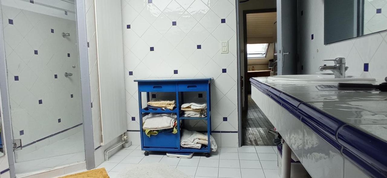 2 Chambres Et Salle De Bain Un Oasis De Bien Etre Piscine Et Jardin Direct Gare Aeroport Toulouse Kültér fotó